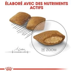 ROYAL CANIN CCN Mini Exigent 3kg -Royal Canin fre pl ROYAL CANIN CCN Mini Exigent 3kg 10053 5