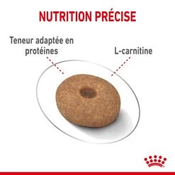 ROYAL CANIN CCN Mini Light Weight Care 3kg + ORIJEN Original Chien 340g Gratuit 13 ROYAL CANIN CCN Mini Light Weight Care 3kg + ORIJEN Original Chien 340g Gratuit -Royal Canin fre pl ROYAL CANIN CCN Mini Light Weight Care 3kg ORIJEN Original Chien 340g Gratuit 30802 6