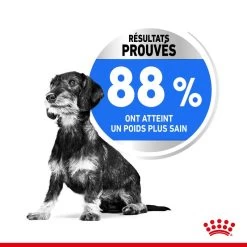 ROYAL CANIN CCN Mini Light Weight Care 8kg -Royal Canin fre pl ROYAL CANIN CCN Mini Light Weight Care 8kg 10067 6