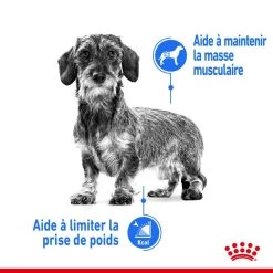 ROYAL CANIN CCN Mini Light Weight Care 8kg -Royal Canin fre pl ROYAL CANIN CCN Mini Light Weight Care 8kg 10067 7