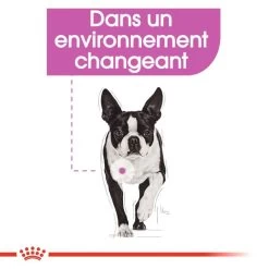 ROYAL CANIN CCN Mini Relax Care 1kg -Royal Canin fre pl ROYAL CANIN CCN Mini Relax Care 1kg 16289 6