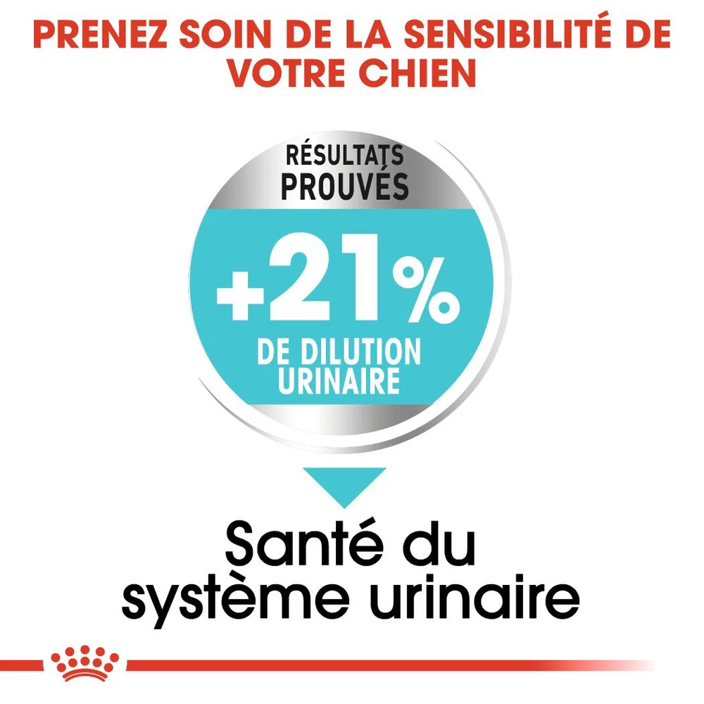 ROYAL CANIN CCN Mini Urinary Care 3kg 3 ROYAL CANIN CCN Mini Urinary Care 3kg – Image 2