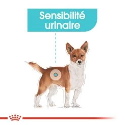 ROYAL CANIN CCN Mini Urinary Care 8kg -Royal Canin fre pl ROYAL CANIN CCN Mini Urinary Care 8kg 10085 2