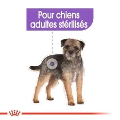 ROYAL CANIN CCN Sterilised Mini 1kg -Royal Canin fre pl ROYAL CANIN CCN Sterilised Mini 1kg 10084 5