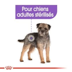 ROYAL CANIN CCN Sterilised Mini Pâté 12x85g 12 ROYAL CANIN CCN Sterilised Mini Pâté 12x85g -Royal Canin fre pl ROYAL CANIN CCN Sterilised Mini Pate 12x85g 10088 5
