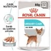 ROYAL CANIN CCN Urinary Care Pâté 12x85g 1 ROYAL CANIN CCN Urinary Care Pâté 12x85g -Royal Canin fre pl ROYAL CANIN CCN Urinary Care pate 12x85g 10087 1