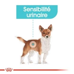 ROYAL CANIN CCN Urinary Care Pâté 12x85g -Royal Canin fre pl ROYAL CANIN CCN Urinary Care pate 12x85g 10087 4