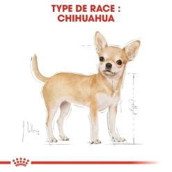 ROYAL CANIN Chihuahua Adult 500g X2 -Royal Canin fre pl ROYAL CANIN Chihuahua Adult 500g x2 30761 3