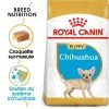 ROYAL CANIN Chihuahua Puppy 1,5kg -Royal Canin fre pl ROYAL CANIN Chihuahua Puppy 1 5kg 15969 1