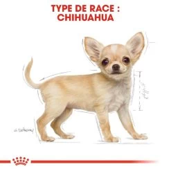 ROYAL CANIN Chihuahua Puppy 1,5kg -Royal Canin fre pl ROYAL CANIN Chihuahua Puppy 1 5kg 15969 5