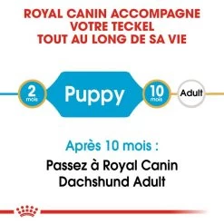ROYAL CANIN Dachshund Puppy 1,5kg -Royal Canin fre pl ROYAL CANIN Dachshund Puppy 1 5kg 15331 2