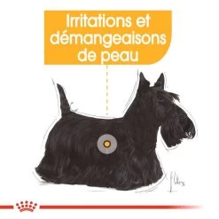 ROYAL CANIN Dermacomfort Pâté 12x85g -Royal Canin fre pl ROYAL CANIN Dermacomfort Pate 12x85g 10092 4