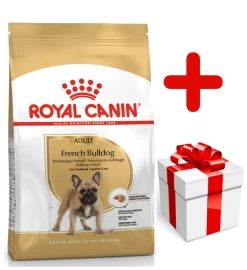 ROYAL CANIN French Bulldog Adult 9kg + Surprise Pour Votre Chien GRATUITES !