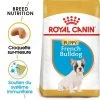 ROYAL CANIN French Bulldog Puppy 10kg -Royal Canin fre pl ROYAL CANIN French Bulldog Puppy 10kg 15978 1
