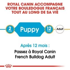 ROYAL CANIN French Bulldog Puppy 10kg -Royal Canin fre pl ROYAL CANIN French Bulldog Puppy 10kg 15978 3