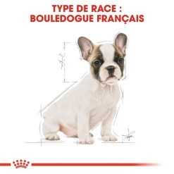 ROYAL CANIN French Bulldog Puppy 3kg -Royal Canin fre pl ROYAL CANIN French Bulldog Puppy 3kg 15997 6