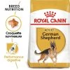 ROYAL CANIN German Shepherd Adult 11kg 1 ROYAL CANIN German Shepherd Adult 11kg -Royal Canin fre pl ROYAL CANIN German Shepherd Adult 11kg 9899 1