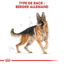 ROYAL CANIN German Shepherd Adult 11kg 11 ROYAL CANIN German Shepherd Adult 11kg -Royal Canin fre pl ROYAL CANIN German Shepherd Adult 11kg 9899 2