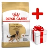 ROYAL CANIN German Shepherd Adult 11kg + Surprise Pour Votre Chien GRATUITES ! -Royal Canin fre pl ROYAL CANIN German Shepherd Adult 11kg surprise pour votre chien GRATUITES 17883 1