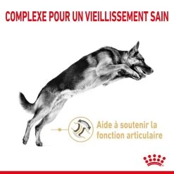 ROYAL CANIN German Shepherd Adult 5+ 12kg -Royal Canin fre pl ROYAL CANIN German Shepherd Adult 5 12kg 12523 3