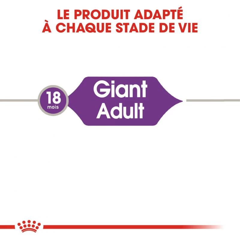 ROYAL CANIN Giant Adult 15kg 4 ROYAL CANIN Giant Adult 15kg – Image 2
