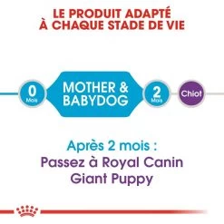 ROYAL CANIN Giant Starter Mother & Babydog 15kg -Royal Canin fre pl ROYAL CANIN Giant Starter Mother Babydog 15kg 9537 2