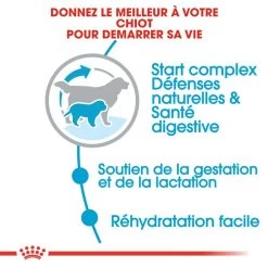 ROYAL CANIN Giant Starter Mother & Babydog 15kg -Royal Canin fre pl ROYAL CANIN Giant Starter Mother Babydog 15kg 9537 4