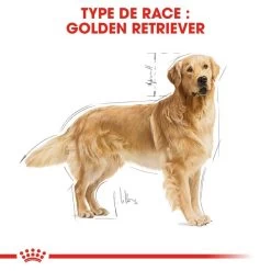 ROYAL CANIN Golden Retriever Adult 12kg -Royal Canin fre pl ROYAL CANIN Golden Retriever Adult 12kg 16018 3