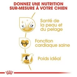 ROYAL CANIN Golden Retriever Adult 12kg -Royal Canin fre pl ROYAL CANIN Golden Retriever Adult 12kg 16018 5