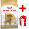 ROYAL CANIN Golden Retriever Adult 12kg + Surprise Pour Votre Chien GRATUITES ! -Royal Canin fre pl ROYAL CANIN Golden Retriever Adult 12kg surprise pour votre chien GRATUITES 17874 1