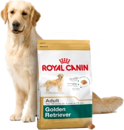 ROYAL CANIN Golden Retriever Adult 12kg + Surprise Pour Votre Chien GRATUITES ! 10 ROYAL CANIN Golden Retriever Adult 12kg + Surprise Pour Votre Chien GRATUITES ! -Royal Canin fre pl ROYAL CANIN Golden Retriever Adult 12kg surprise pour votre chien GRATUITES 17874 3
