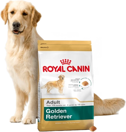 ROYAL CANIN Golden Retriever Adult 12kg + Surprise Pour Votre Chien GRATUITES ! 5 ROYAL CANIN Golden Retriever Adult 12kg + Surprise Pour Votre Chien GRATUITES ! – Image 3