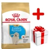 ROYAL CANIN Golden Retriever Puppy 12kg + Surprise Pour Votre Chien GRATUITES ! 1 ROYAL CANIN Golden Retriever Puppy 12kg + Surprise Pour Votre Chien GRATUITES ! -Royal Canin fre pl ROYAL CANIN Golden Retriever Puppy 12kg surprise pour votre chien GRATUITES 17884 1