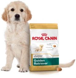 ROYAL CANIN Golden Retriever Puppy 12kg + Surprise Pour Votre Chien GRATUITES ! -Royal Canin fre pl ROYAL CANIN Golden Retriever Puppy 12kg surprise pour votre chien GRATUITES 17884 4