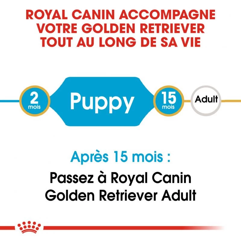 ROYAL CANIN Golden Retriever Puppy 3kg 4 ROYAL CANIN Golden Retriever Puppy 3kg – Image 2