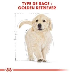 ROYAL CANIN Golden Retriever Puppy 3kg 12 ROYAL CANIN Golden Retriever Puppy 3kg -Royal Canin fre pl ROYAL CANIN Golden Retriever Puppy 3kg 16020 6