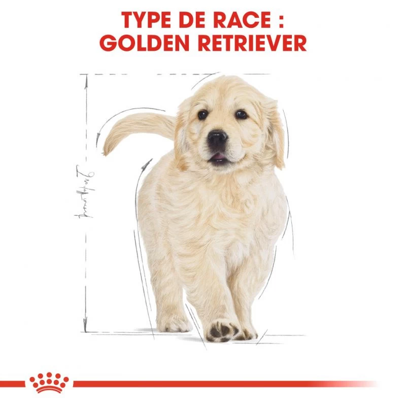 ROYAL CANIN Golden Retriever Puppy 3kg 7 ROYAL CANIN Golden Retriever Puppy 3kg – Image 5