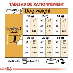 ROYAL CANIN Great Dane Adult 12kg -Royal Canin fre pl ROYAL CANIN Great Dane Adult 12kg 9213 6