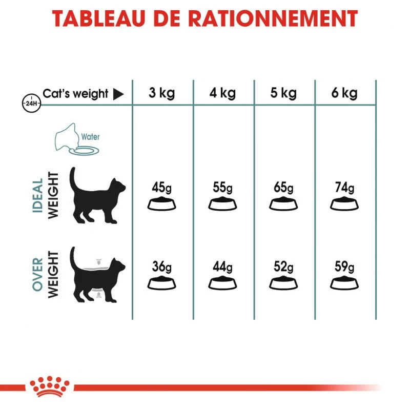 ROYAL CANIN Hairball Care 4kg 7 ROYAL CANIN Hairball Care 4kg – Image 5