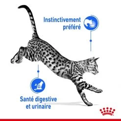 ROYAL CANIN Indoor Sterilised Sauce 12x85g 11 ROYAL CANIN Indoor Sterilised Sauce 12x85g -Royal Canin fre pl ROYAL CANIN Indoor Sterilised Sauce 12x85g 12296 3