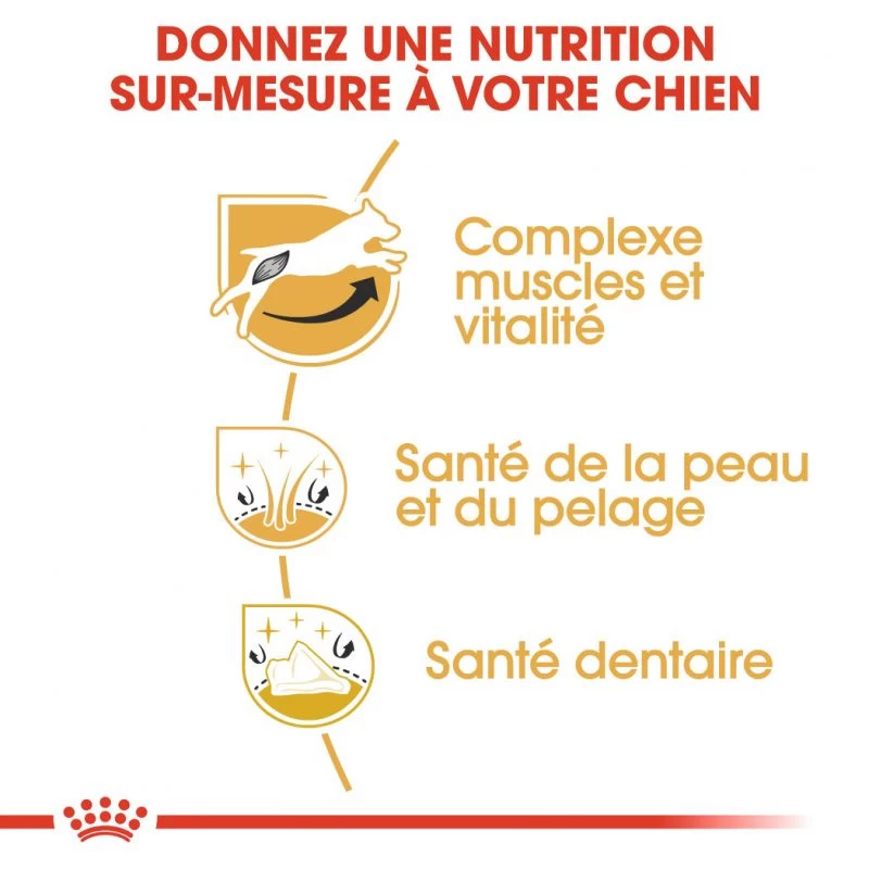 ROYAL CANIN Jack Russell Terrier Adult 500g 4 ROYAL CANIN Jack Russell Terrier Adult 500g – Image 2