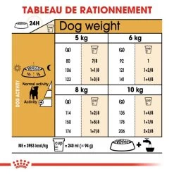 ROYAL CANIN Jack Russell Terrier Adult 500g X2 12 ROYAL CANIN Jack Russell Terrier Adult 500g X2 -Royal Canin fre pl ROYAL CANIN Jack Russell Terrier Adult 500g x2 30602 4