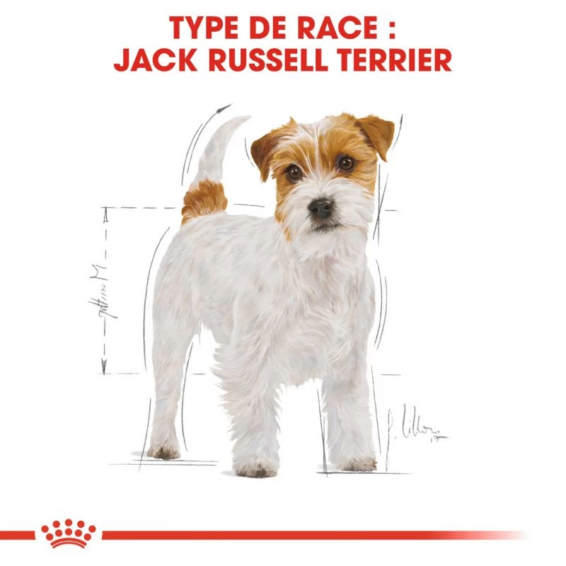ROYAL CANIN Jack Russell Terrier Adult 500g X2 5 ROYAL CANIN Jack Russell Terrier Adult 500g X2 – Image 3