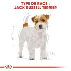 ROYAL CANIN Jack Russell Terrier Adult 7,5kg -Royal Canin fre pl ROYAL CANIN Jack Russell Terrier Adult 7 5kg 15345 5