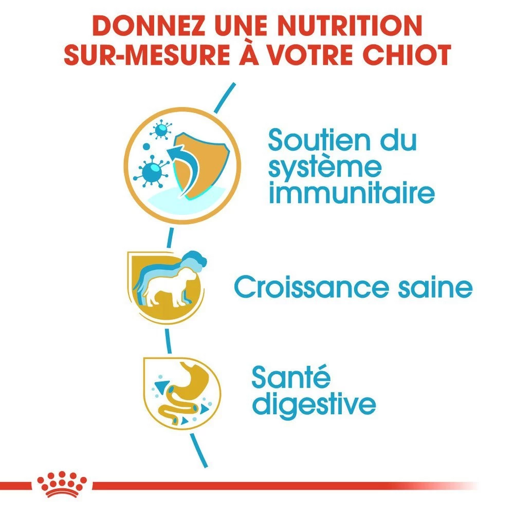 ROYAL CANIN Jack Russell Terrier Puppy 3kg 5 ROYAL CANIN Jack Russell Terrier Puppy 3kg – Image 3