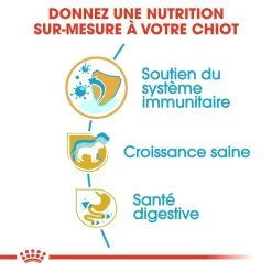 ROYAL CANIN Jack Russell Terrier Puppy 500g -Royal Canin fre pl ROYAL CANIN Jack Russell Terrier Puppy 500g 15346 2