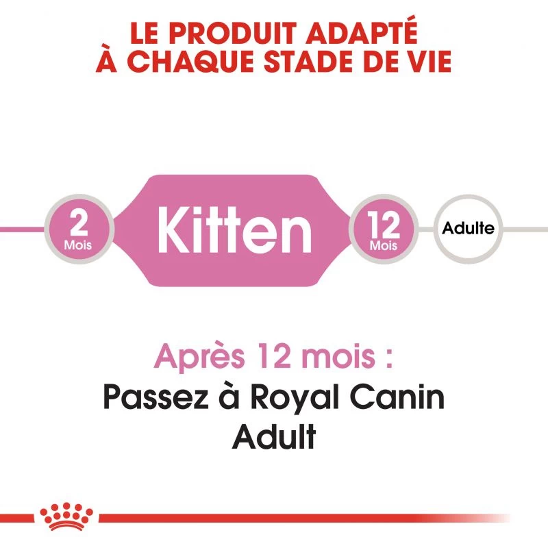ROYAL CANIN Kitten 4kg 7 ROYAL CANIN Kitten 4kg – Image 5