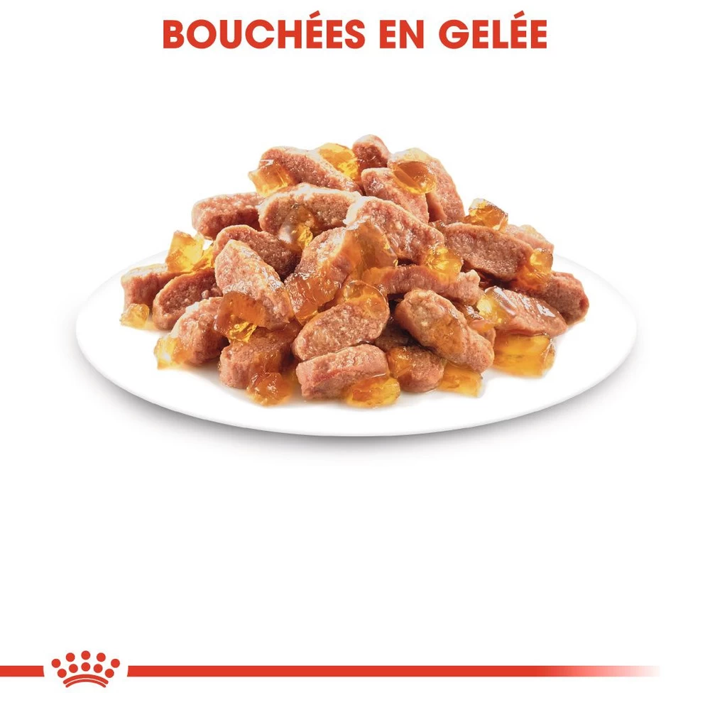 ROYAL CANIN Kitten Sterilised 12x85g 5 ROYAL CANIN Kitten Sterilised 12x85g – Image 3