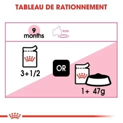 ROYAL CANIN Kitten Sterilised 12x85g 12 ROYAL CANIN Kitten Sterilised 12x85g -Royal Canin fre pl ROYAL CANIN Kitten Sterilised 12x85g 9535 5