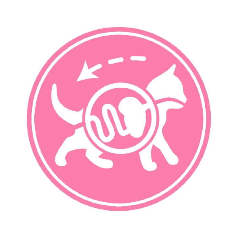 ROYAL CANIN Kitten Sterilised 2kg 6 ROYAL CANIN Kitten Sterilised 2kg – Image 4